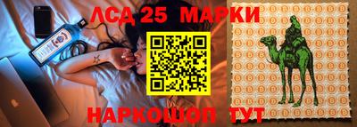 кокс Моздок