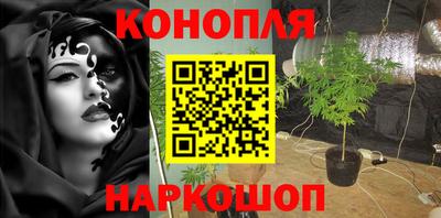 кокс Моздок