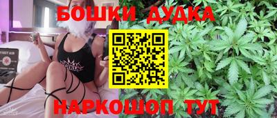 стаф Можга
