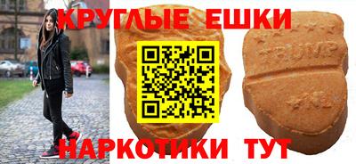 стаф Можга