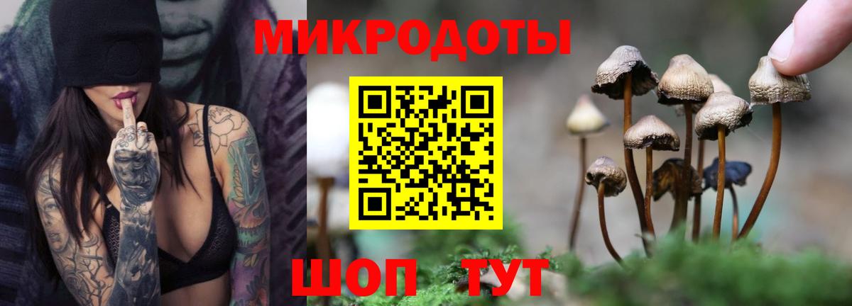 Галлюциногенные грибы прущие грибы  Вход с VPN  Шебекино 